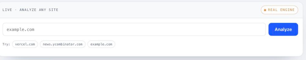 The audit panel before a run: an empty website field, an Analyze button, and a badge reading Real engine.